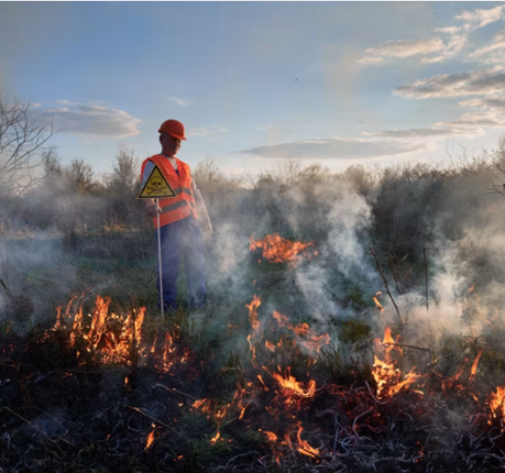 Forestry Crew Specialist 1/2 (Wildland Firefighter)